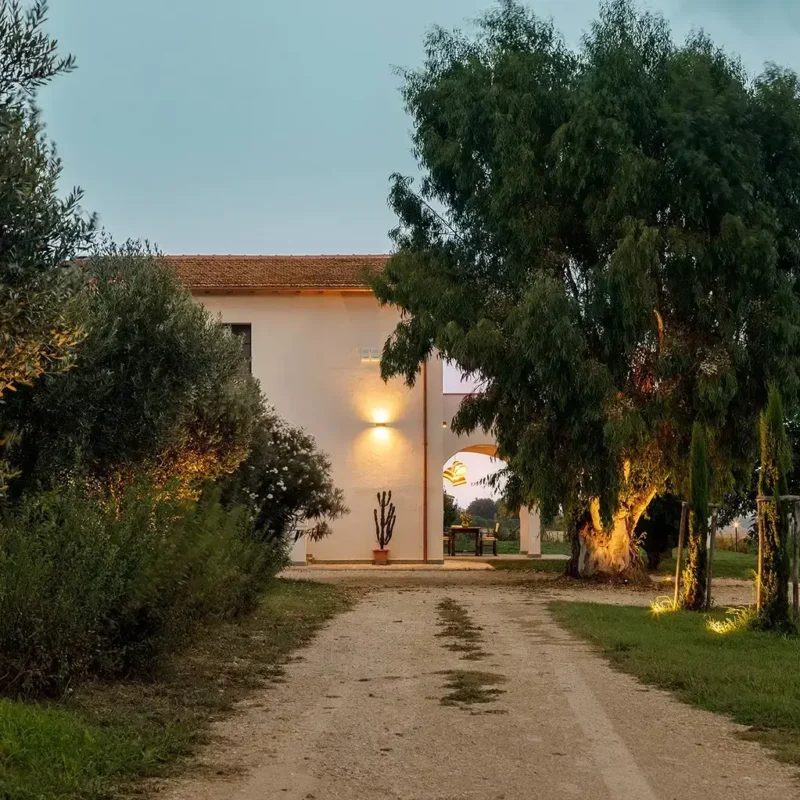 Vialetto d'ingresso della villa Il Podere Bianco circondata da una rigogliosa vegetazione.